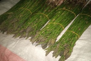 Green Asparagus from Kenya